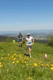 DSC00560
