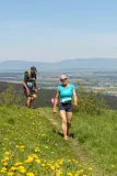 DSC00802